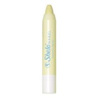 Corrector Profesional